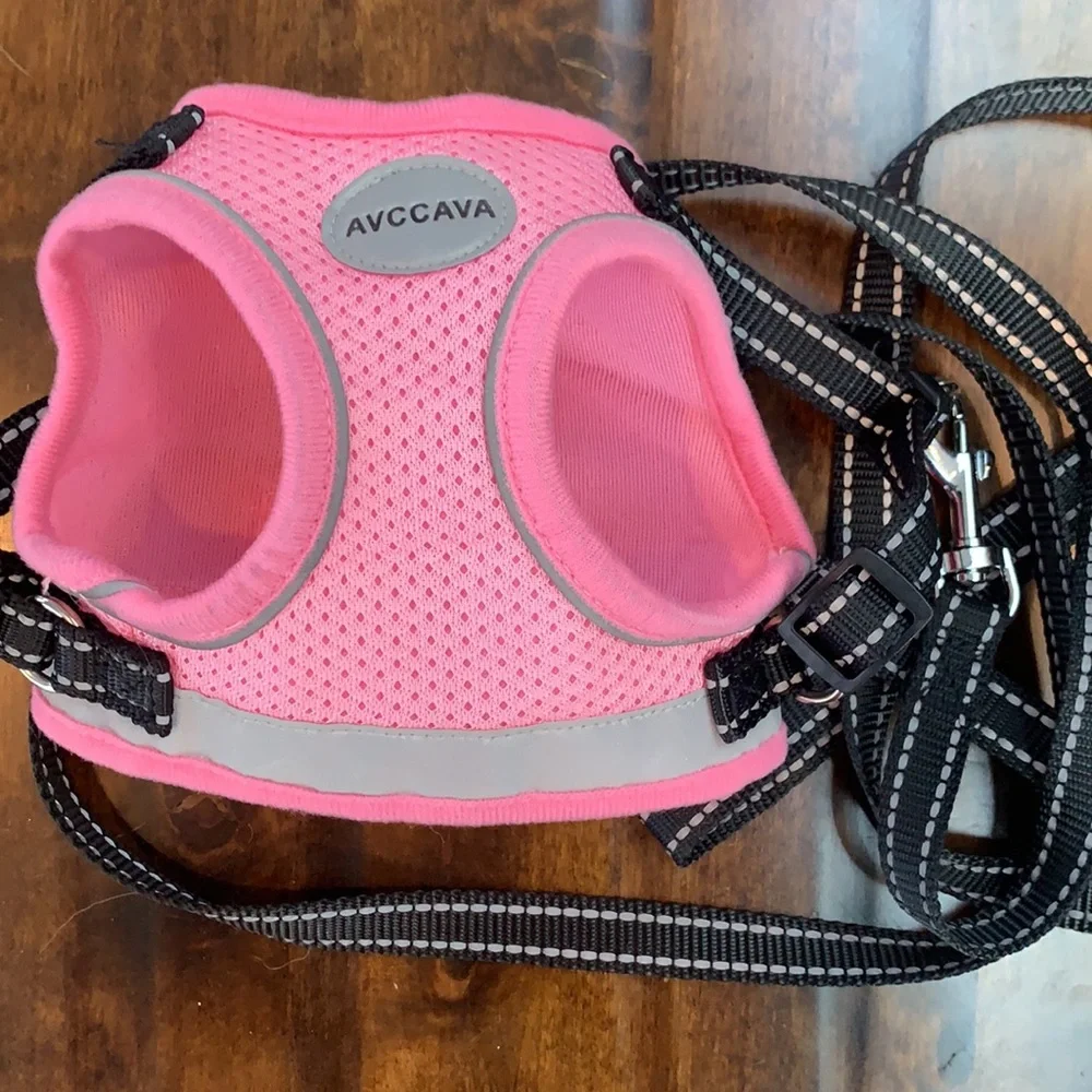 Cat/kitty leash (never used)